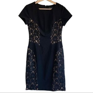 Adrianna Papell Black/Nude Lace Fitted Dress